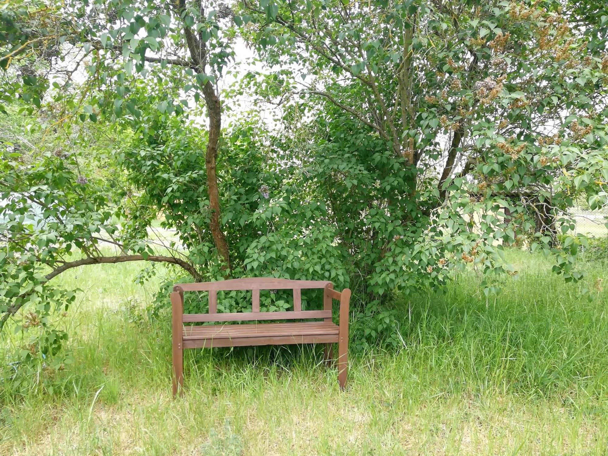 Kleine Galerie Apartment Fuer 3 Mit Kueche Kamin Netflix Parken Und Hofladen Steinhofel ภายนอก รูปภาพ